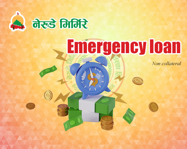 EMERGENCY LOAN