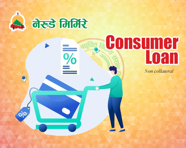CONSUMER LOAN