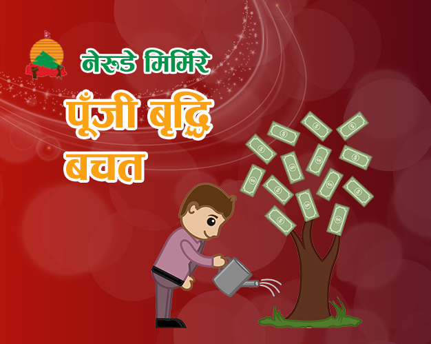 CAPITAL GROWTH SAVING