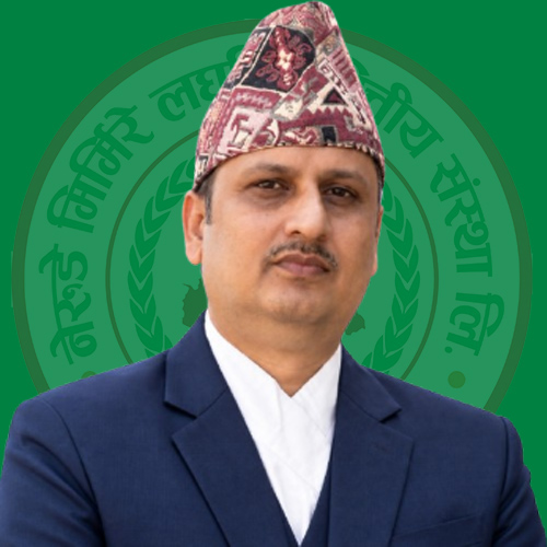 Rudra Timsina Profile Picture